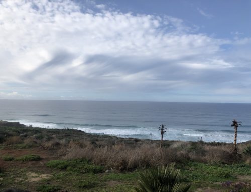 Valle de Guadalupe